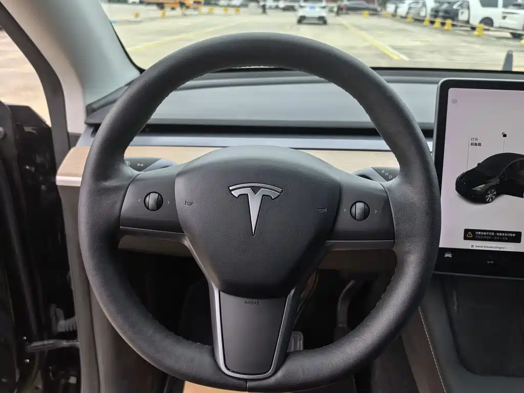 Tesla Model Y — миниатюра 13