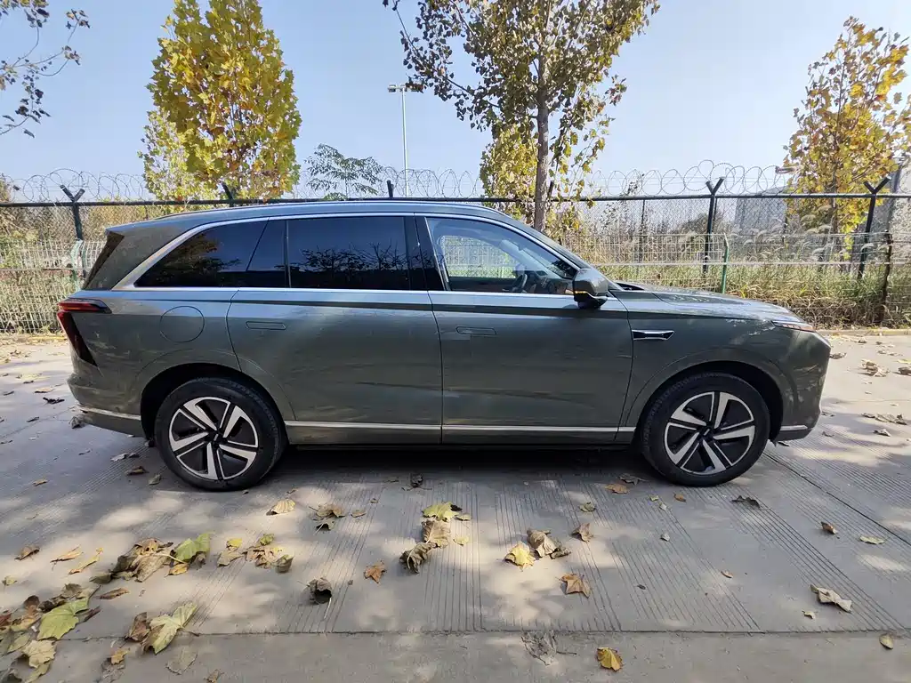 WEI PAI WEI BRAND BLUE MOUNTAIN