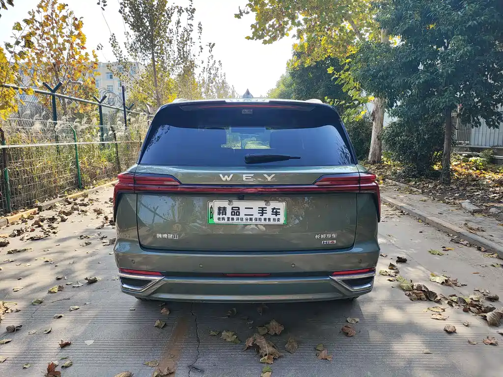 WEI PAI WEI BRAND BLUE MOUNTAIN