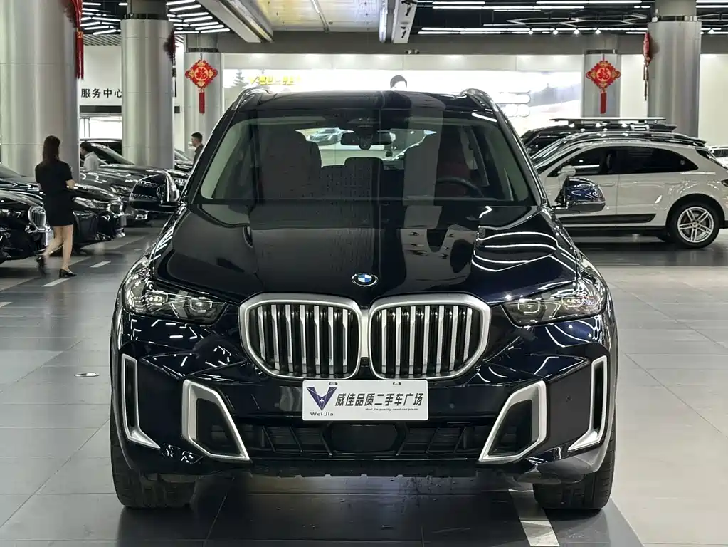 BMW X5 — миниатюра 2