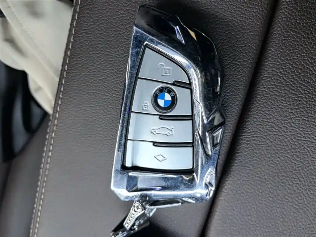 BMW 5 Series 5 2021 525Li M Sport