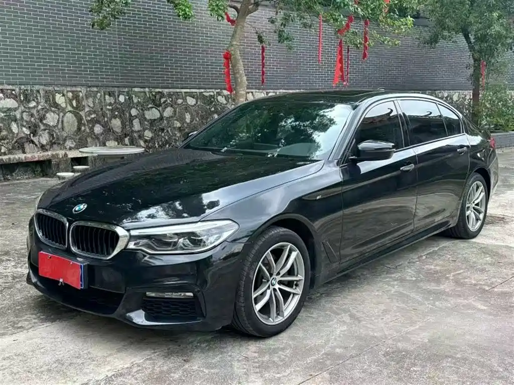 Купить BMW 5 Series