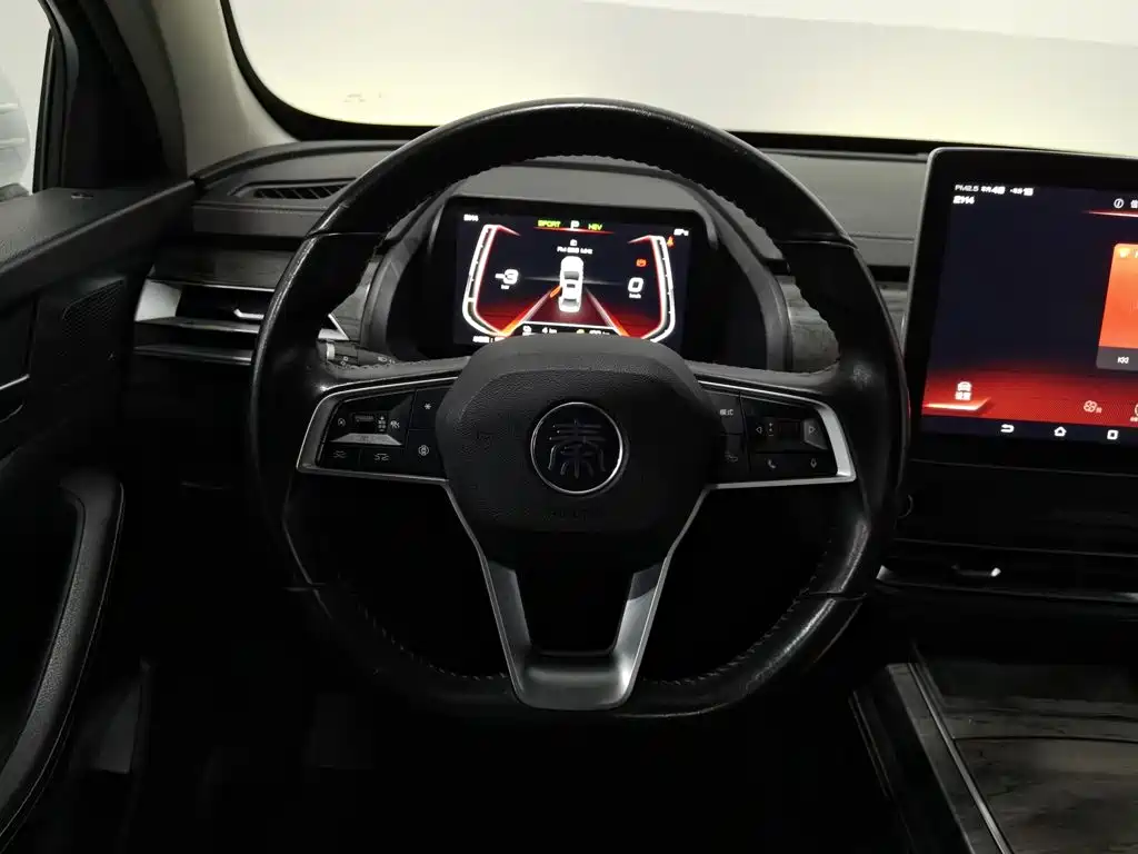 BYD Qin Pro NEV — миниатюра 11