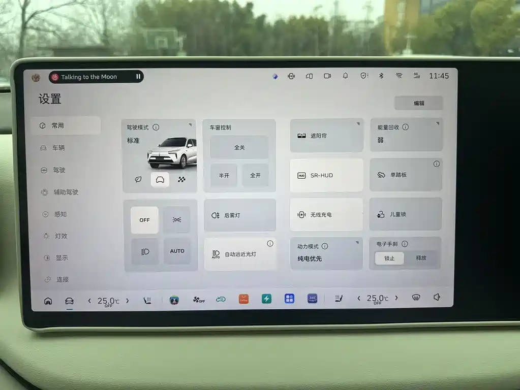 WEI PAI WEI BRAND BLUE MOUNTAIN