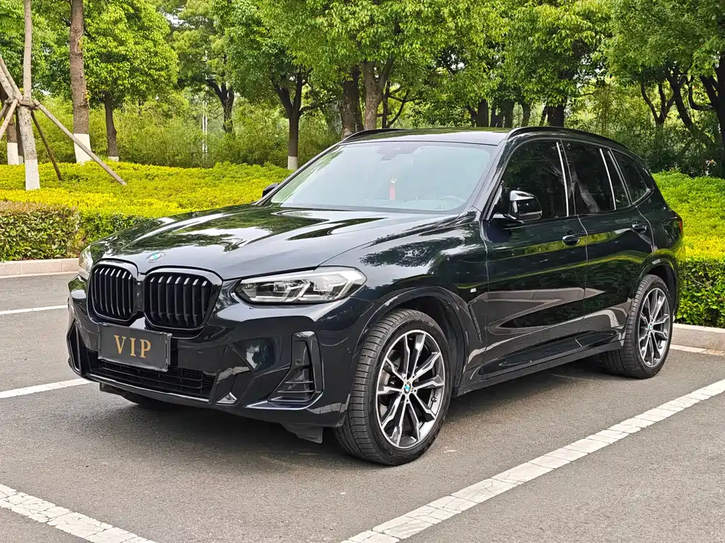 BMW X3 2023 xDrive30i Lead M