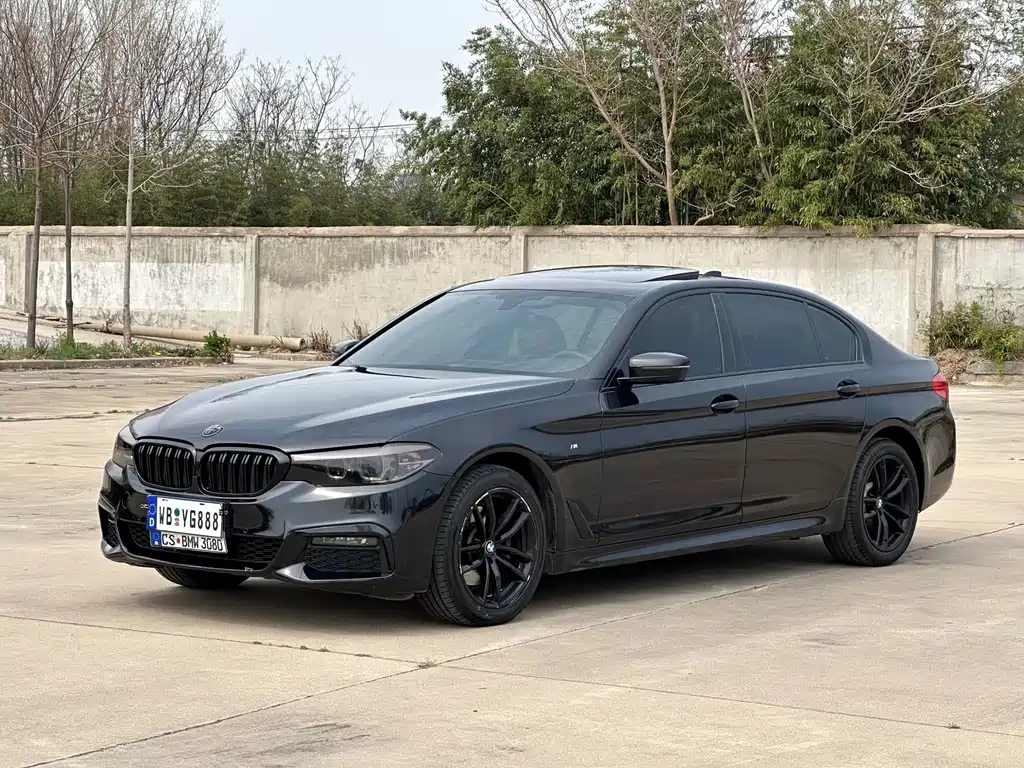 BMW 5 Series 2019