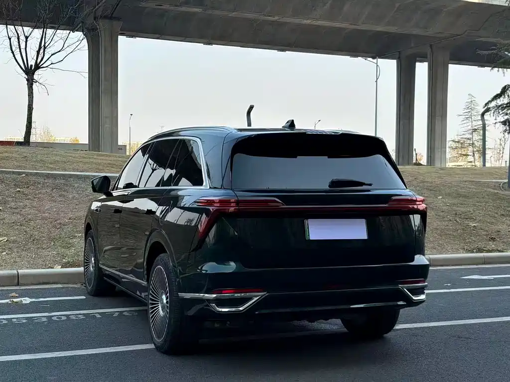 WEI PAI WEI BRAND BLUE MOUNTAIN