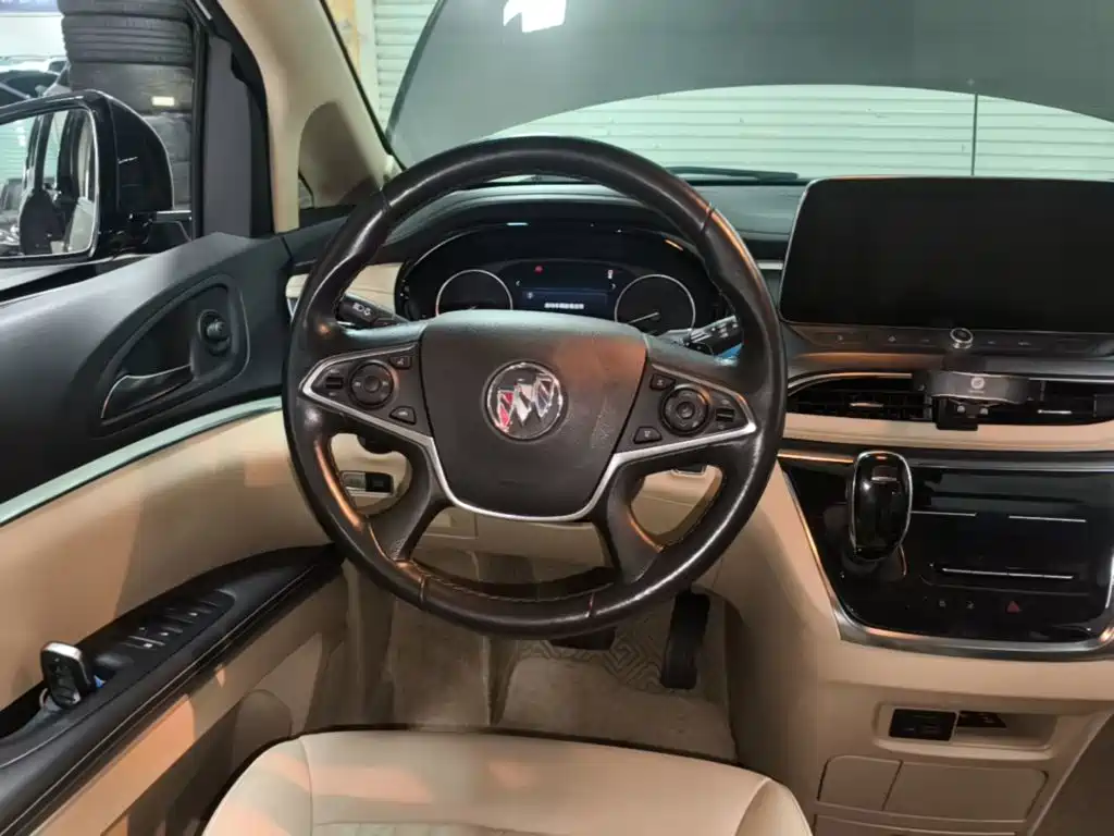 Buick GL8 — миниатюра 11