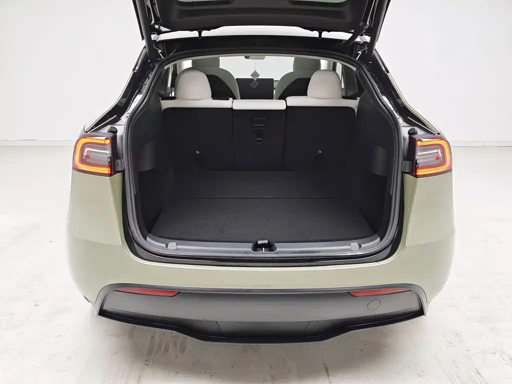 Tesla Model Y — миниатюра 11