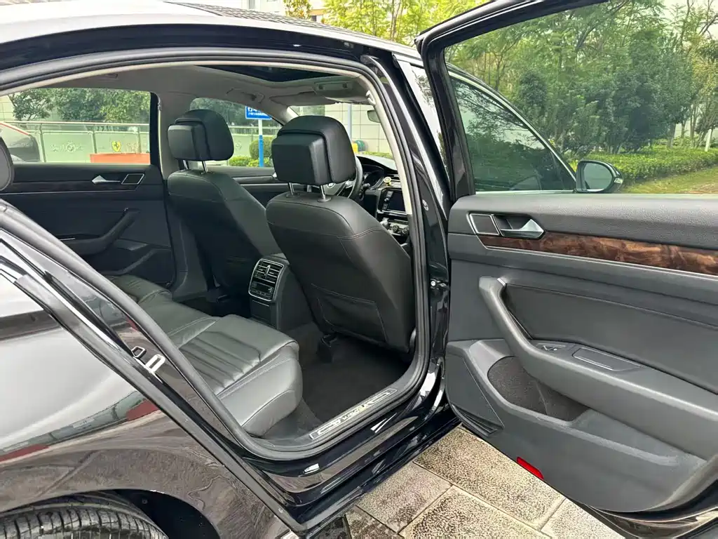Volkswagen Magotan 2019 380TSI DSG Luxury V