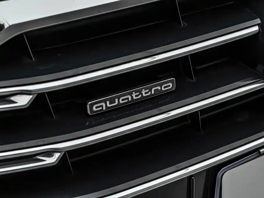 Audi A8 — миниатюра 39