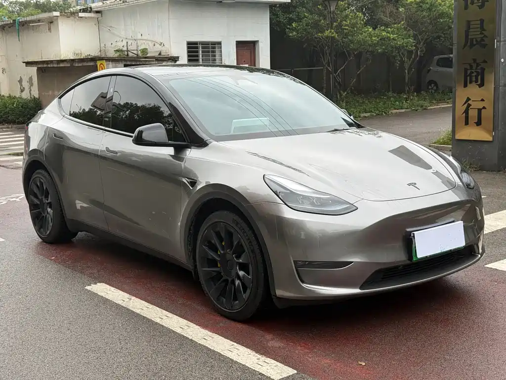 Tesla Model Y — миниатюра 3