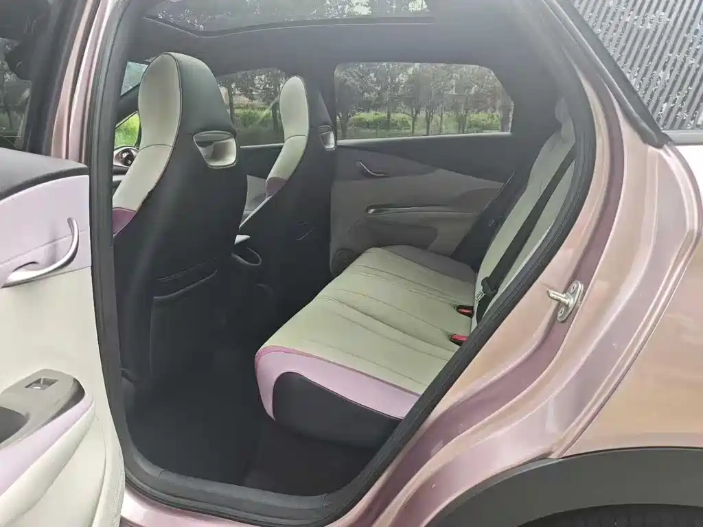 BYD Dolphin 2021 405km Fashion