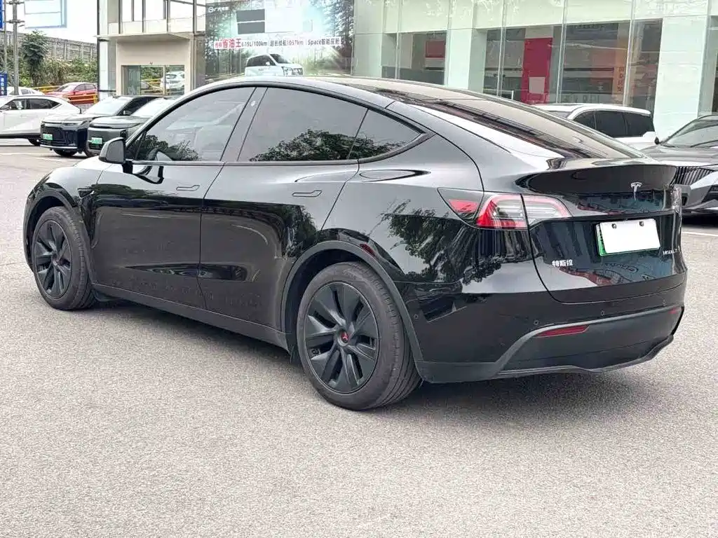 Tesla Model Y — миниатюра 9