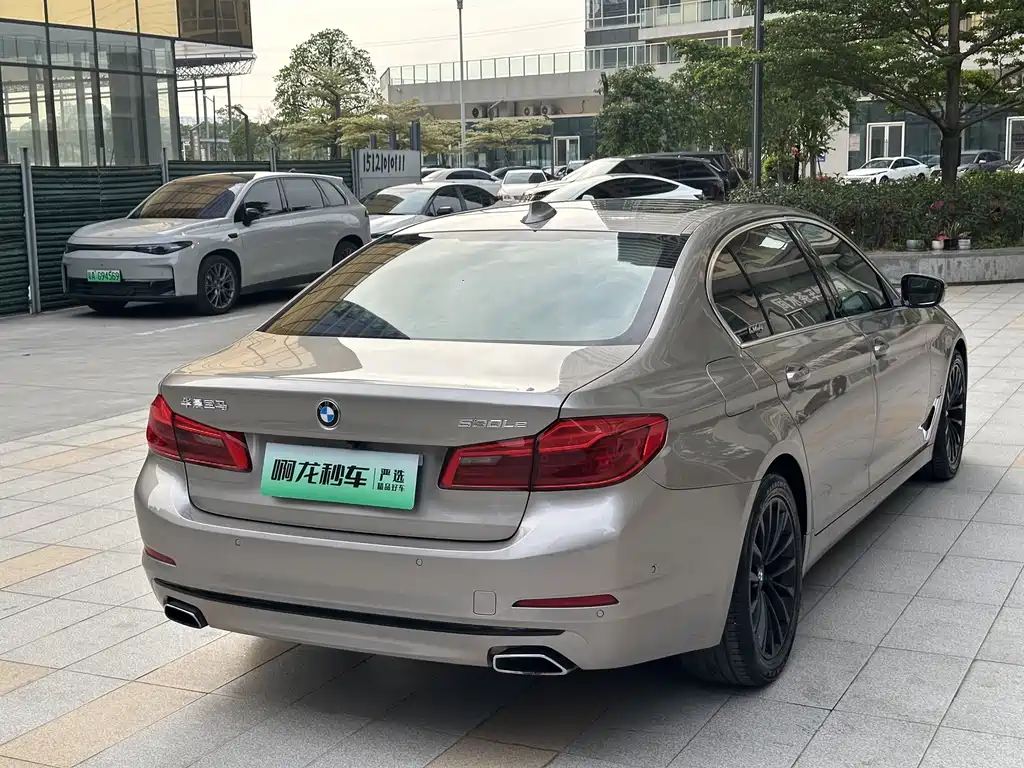 BMW 5 Series 5 2019 530Le Luxury