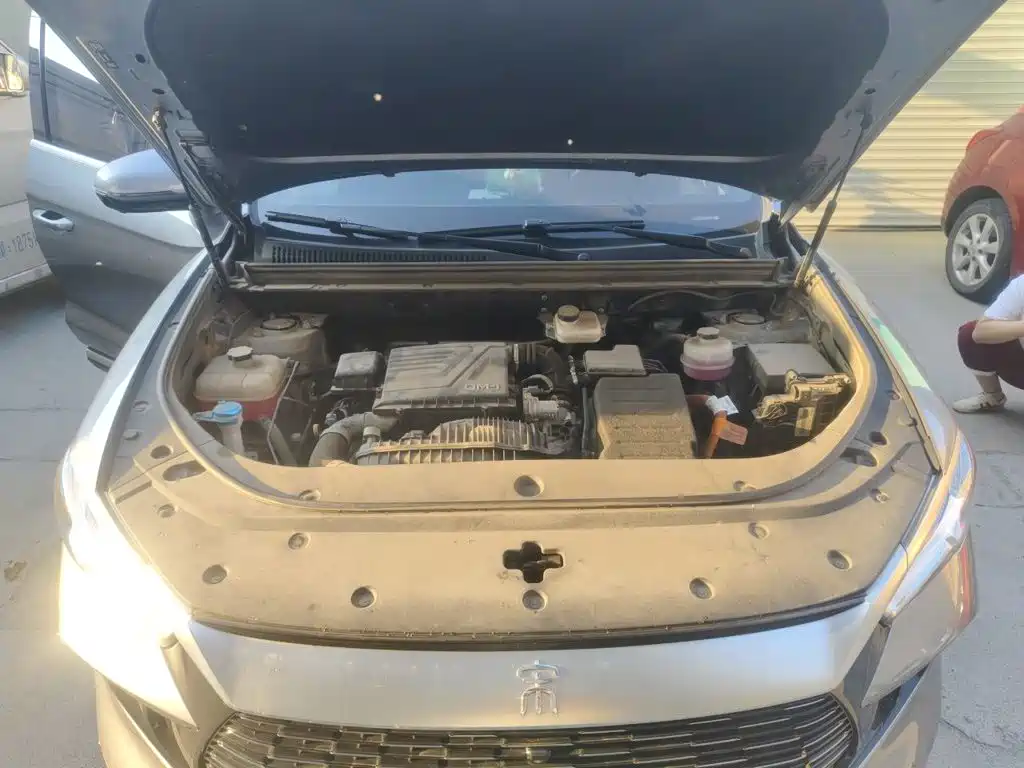BYD Pro New Energy — миниатюра 11