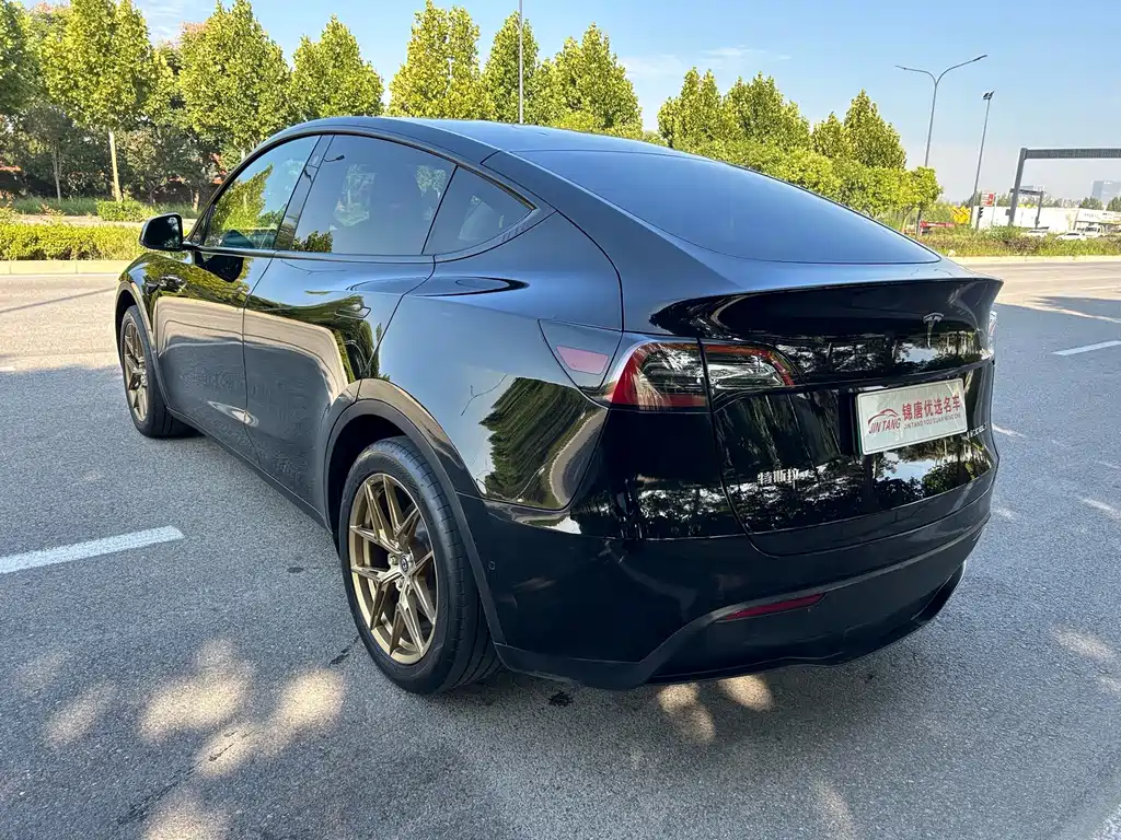 Tesla Model Y — миниатюра 16