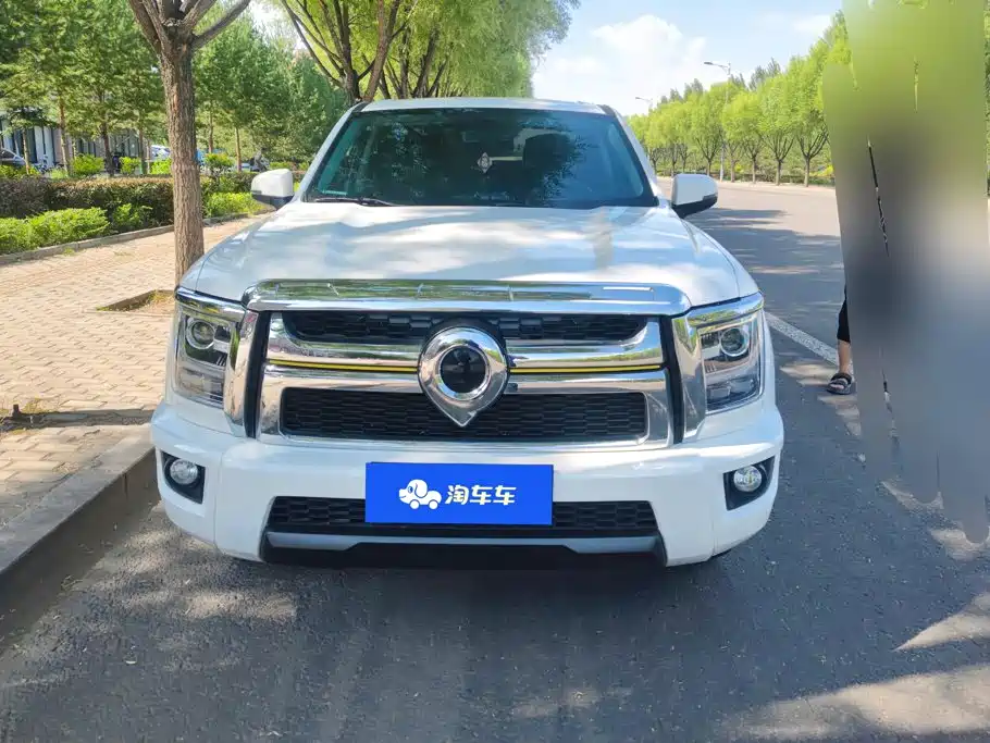 Great Wall King Kong Pao — миниатюра 2