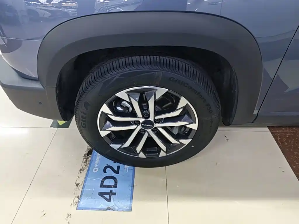 Haval Big Dog — миниатюра 23