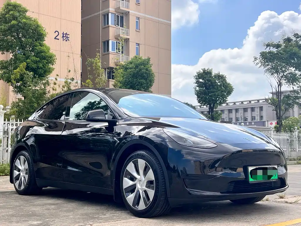 Tesla Model Y — миниатюра 2