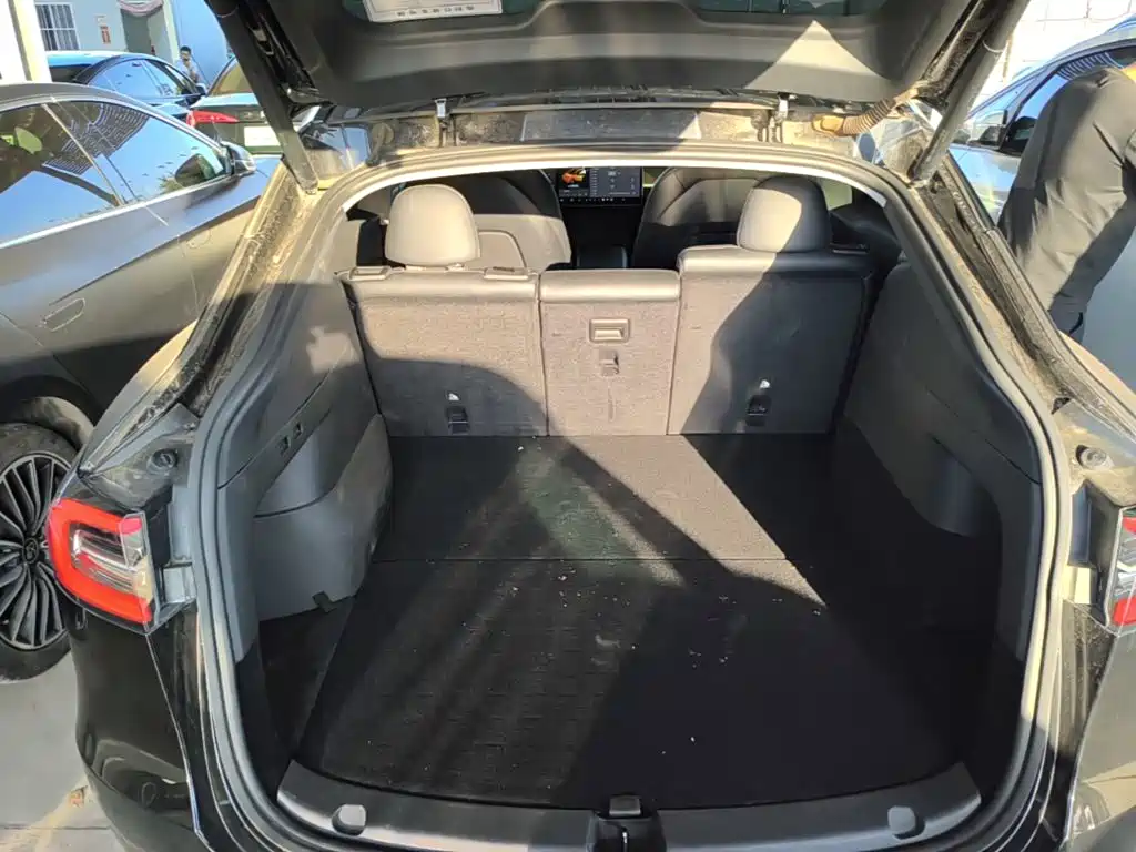 Tesla Model Y — миниатюра 19