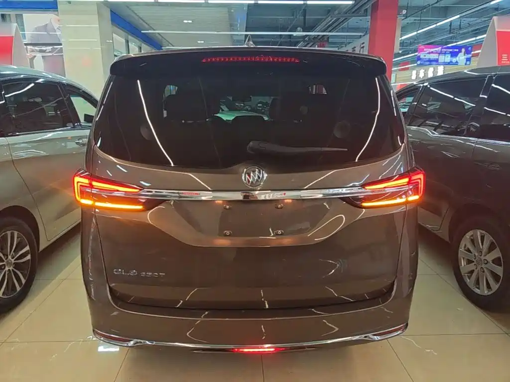Buick GL8 — миниатюра 6