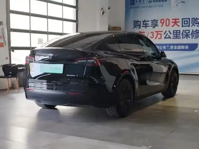 Tesla Model Y — миниатюра 7