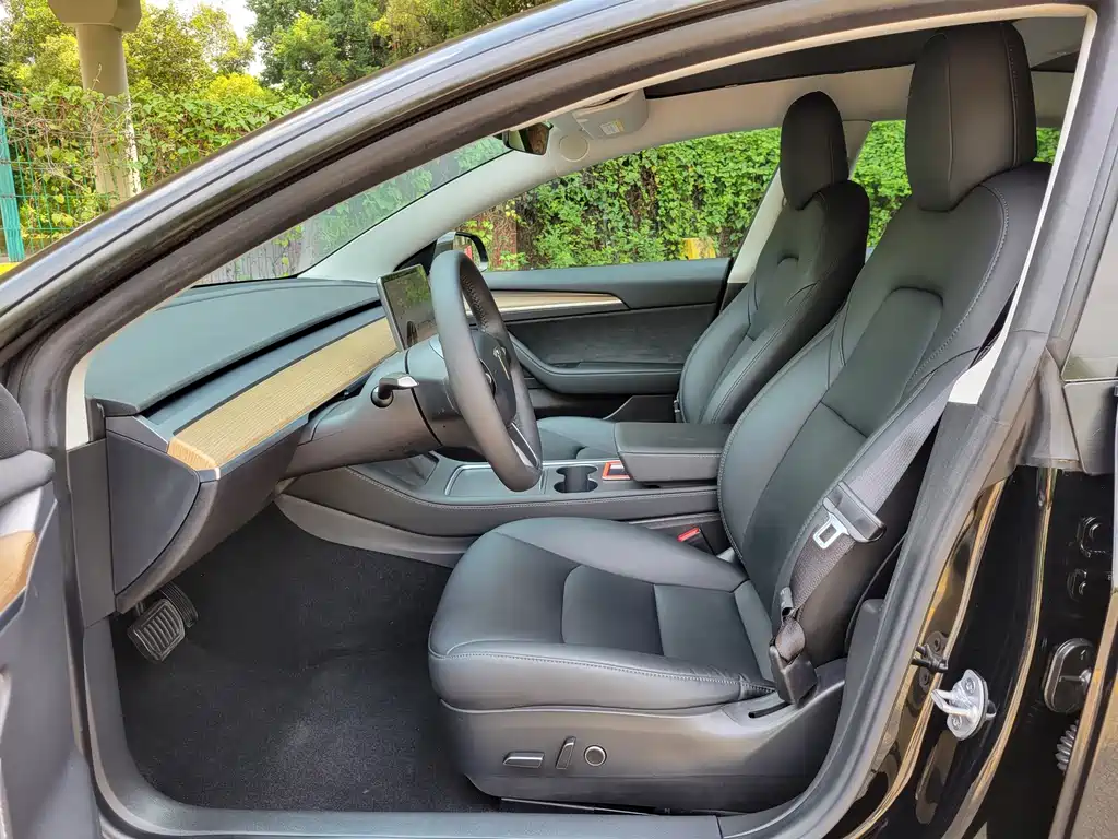 Tesla Model 3 — миниатюра 7