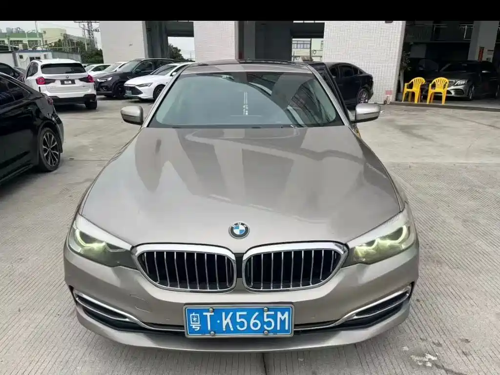 BMW 5 Series 5 2019 530Li Lead Luxury