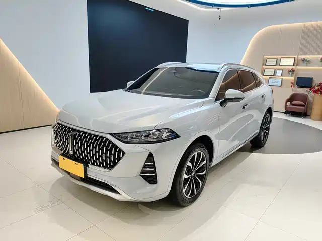 WEI PAI WEI BRAND MOCHA 2023