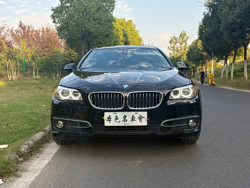 BMW 5 Series — миниатюра 2