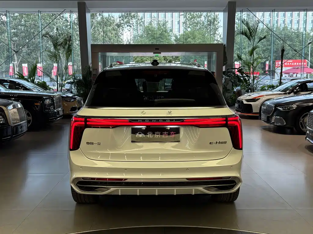 Hongqi Hongqi E-HS9 — миниатюра 23