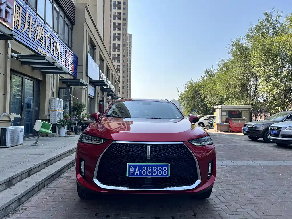 Wey Wey P8 — миниатюра 11