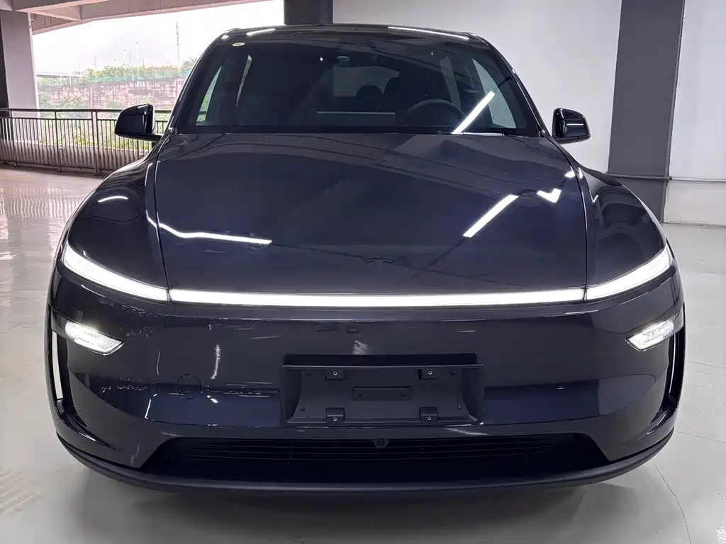Tesla Model Y L — миниатюра 2