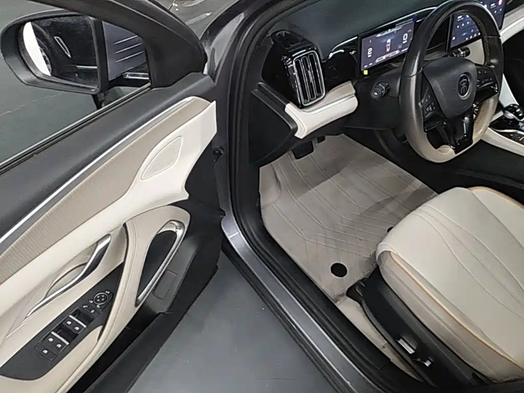 BYD Pro New Energy — миниатюра 16