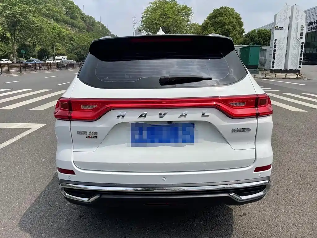 HAVAL M6