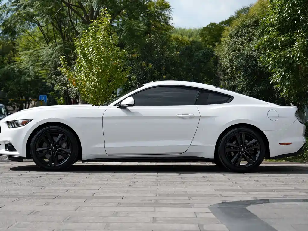Ford Mustang — миниатюра 11