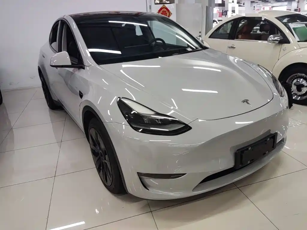 Tesla Model Y — миниатюра 4