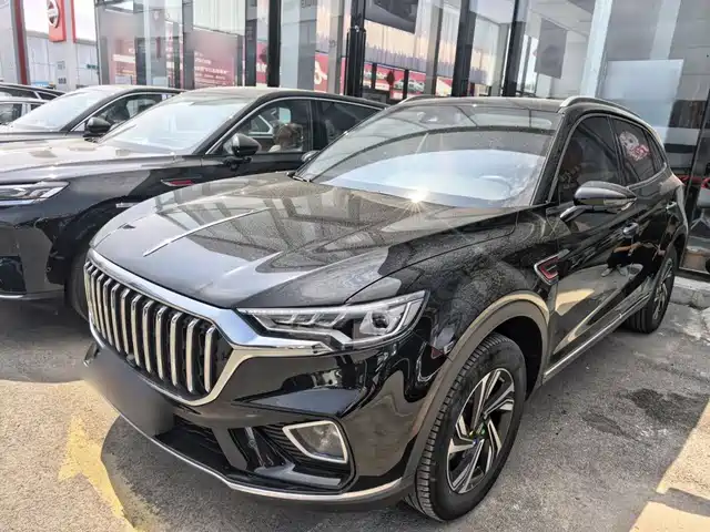2022 Hongqi HS5