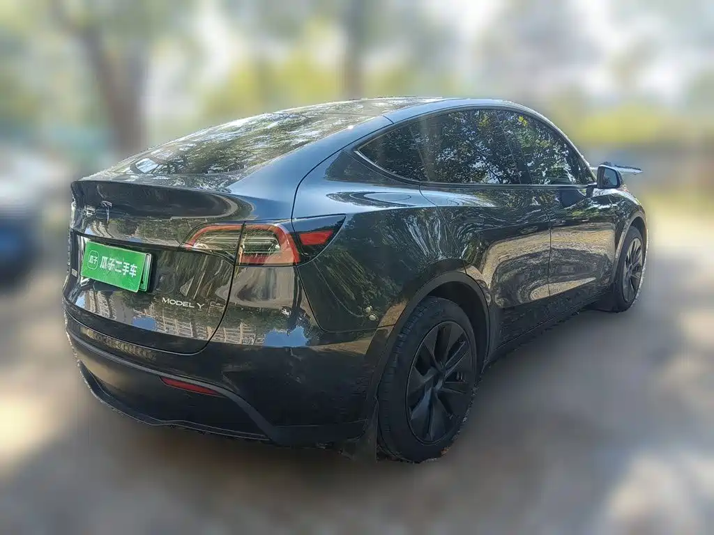Tesla Model Y — миниатюра 6