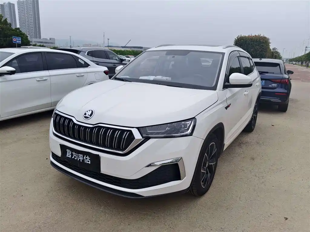 Купить Skoda Kamiq