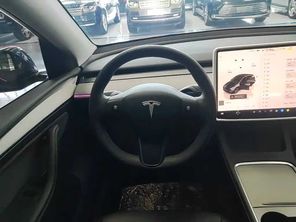 Tesla Model Y — миниатюра 11