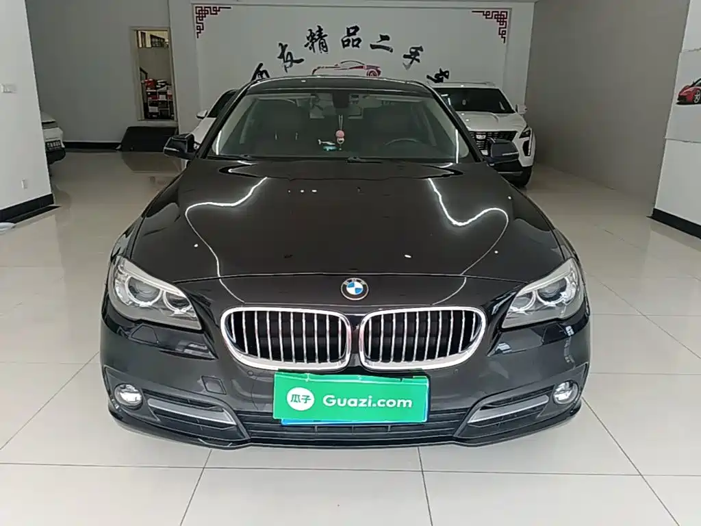 BMW 5 Series — миниатюра 3