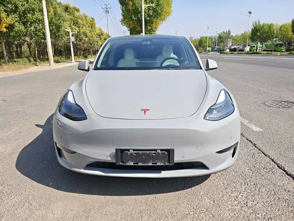 Tesla Model Y — миниатюра 2