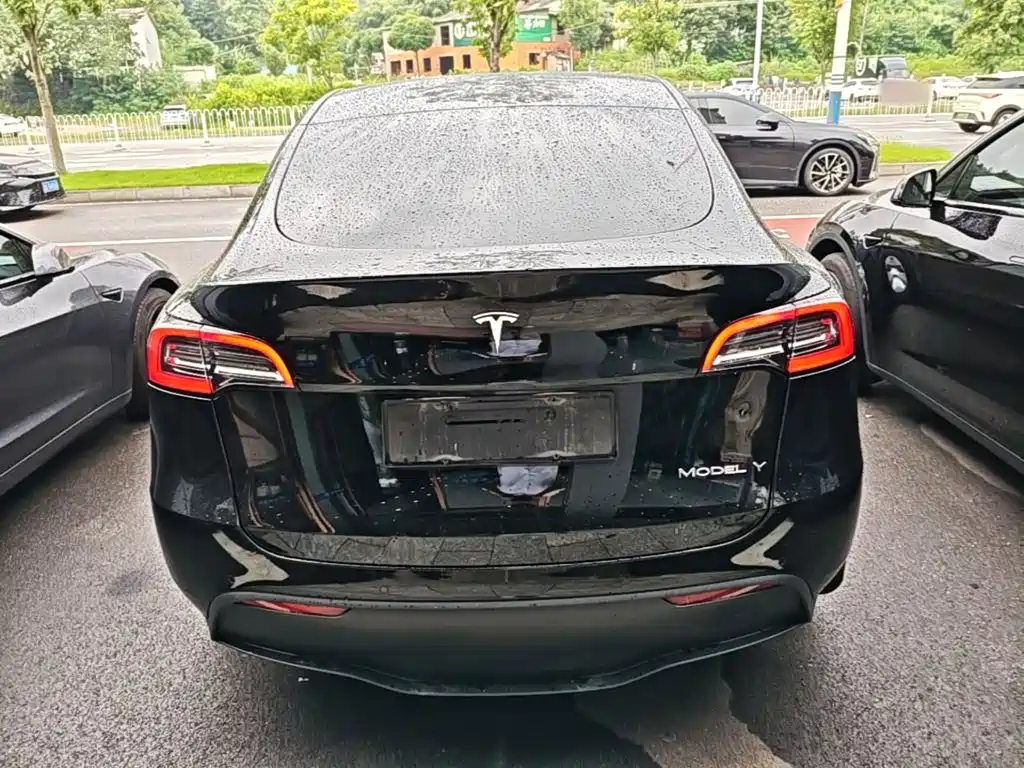 Tesla Model Y — миниатюра 6