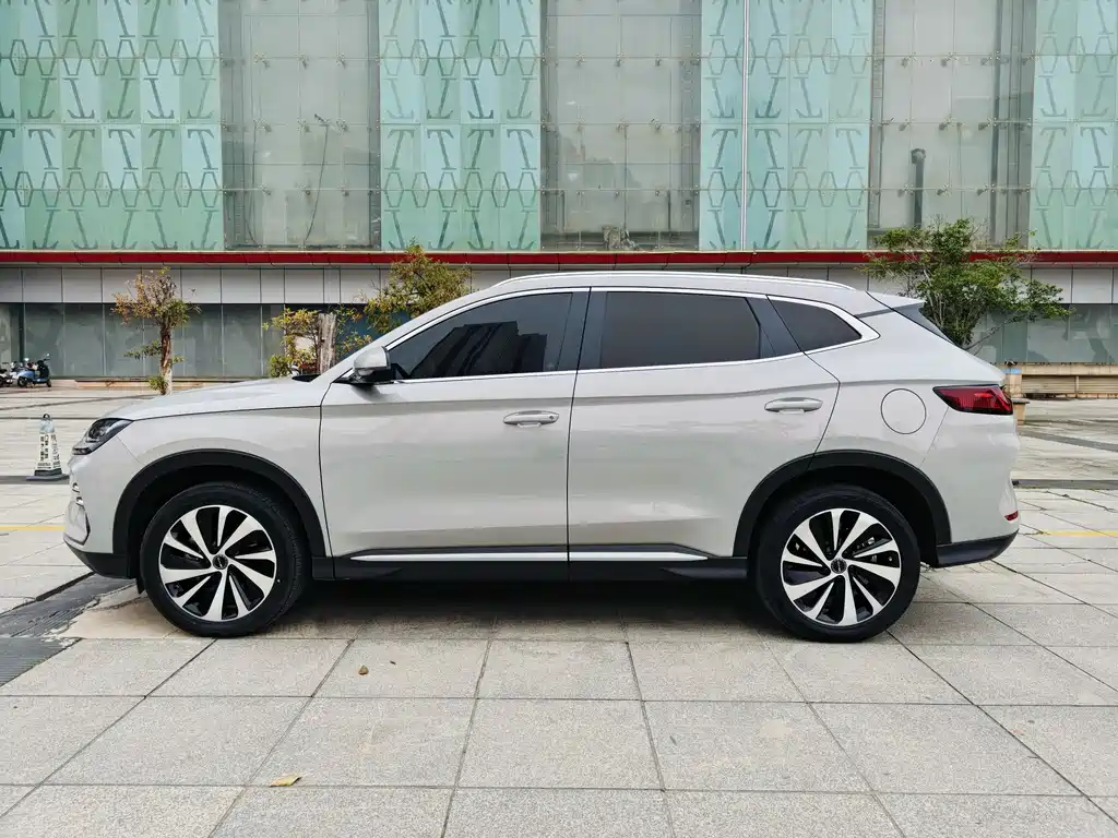 BYD SONGJIANG NEW ENERGY