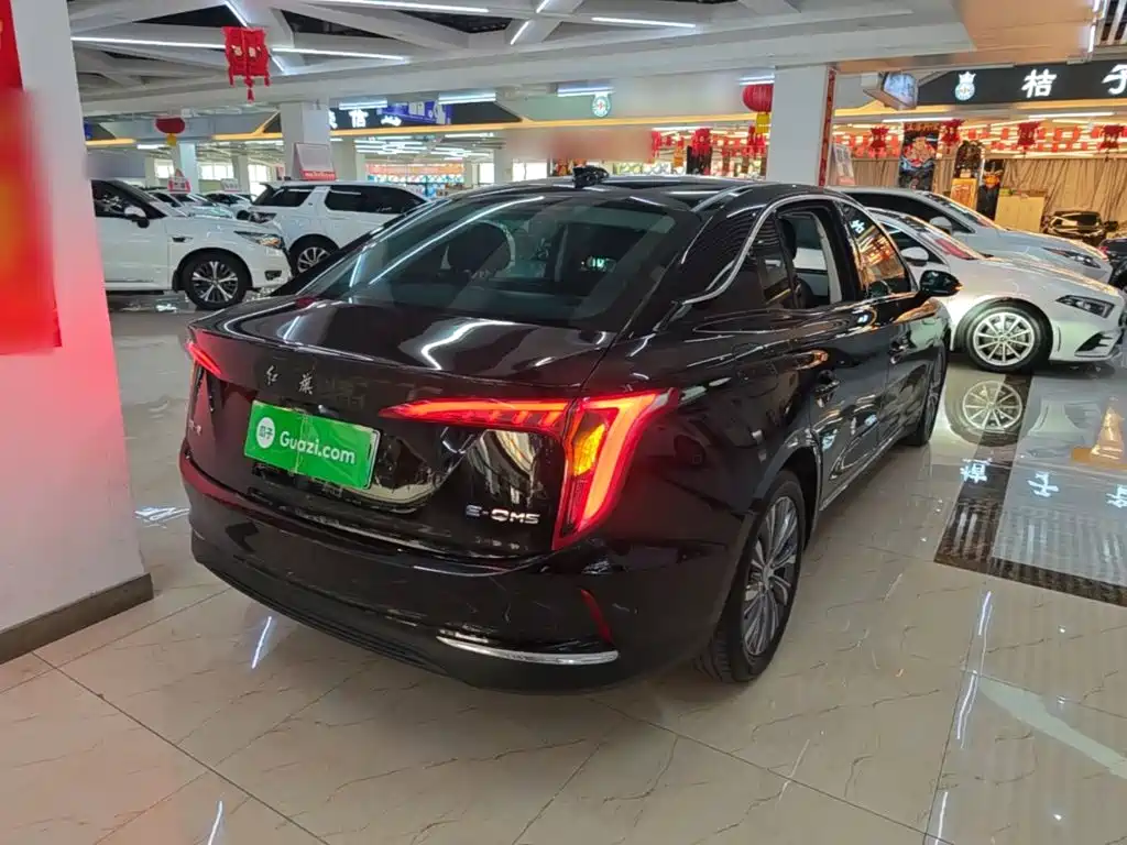 Hongqi Hongqi E-QM5 — миниатюра 7