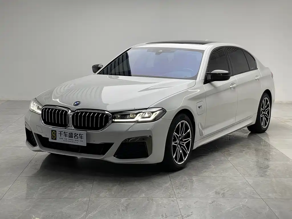 BMW 5 Series New Energy
