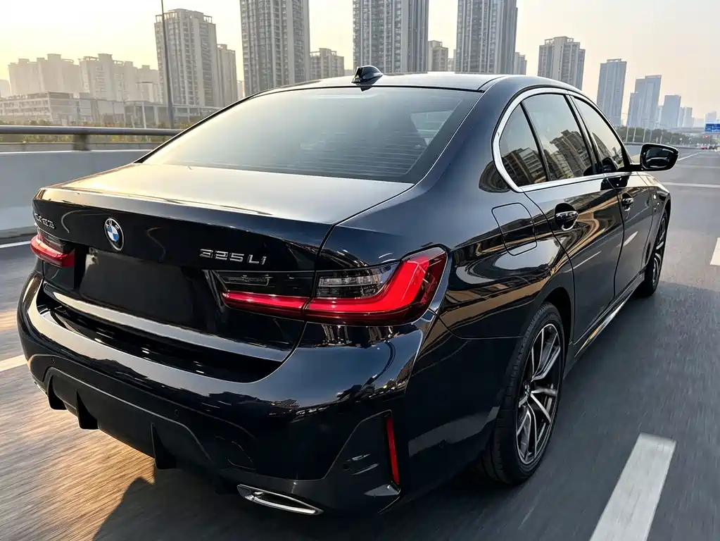BMW 3 Series — миниатюра 15