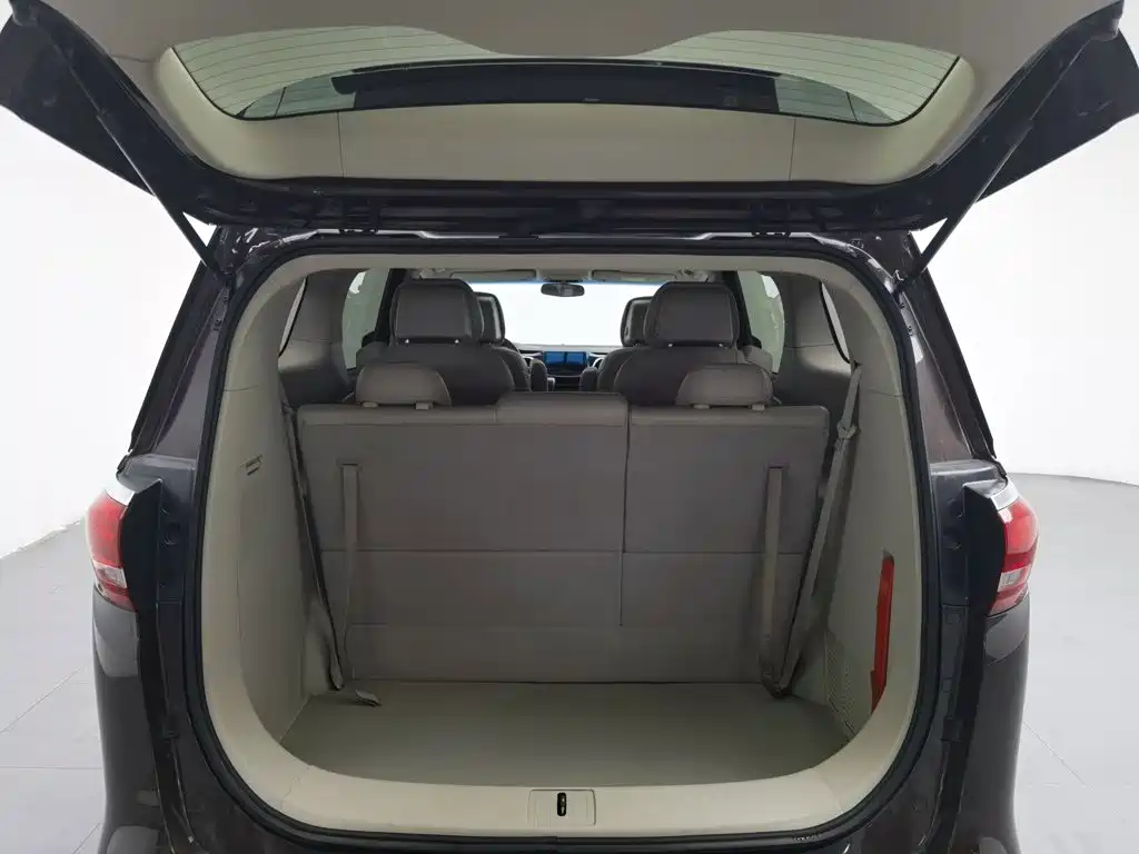 Buick GL8 — миниатюра 16